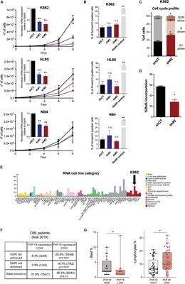 Polycomb Factor PHF19 Controls Cell Growth and Differentiation Toward Erythroid Pathway in Chronic Myeloid Leukemia Cells